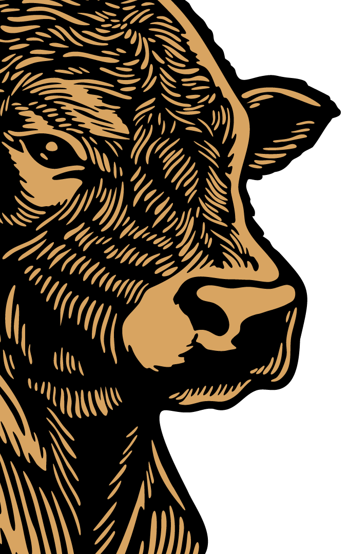 Left bull decoration