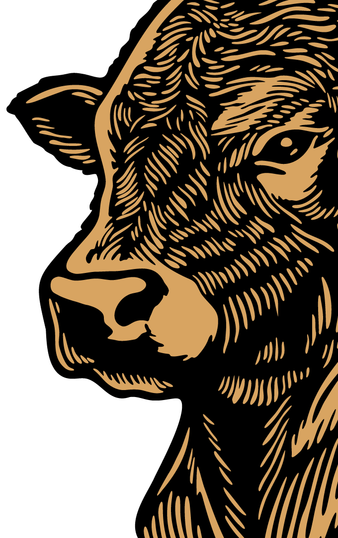 Right bull decoration